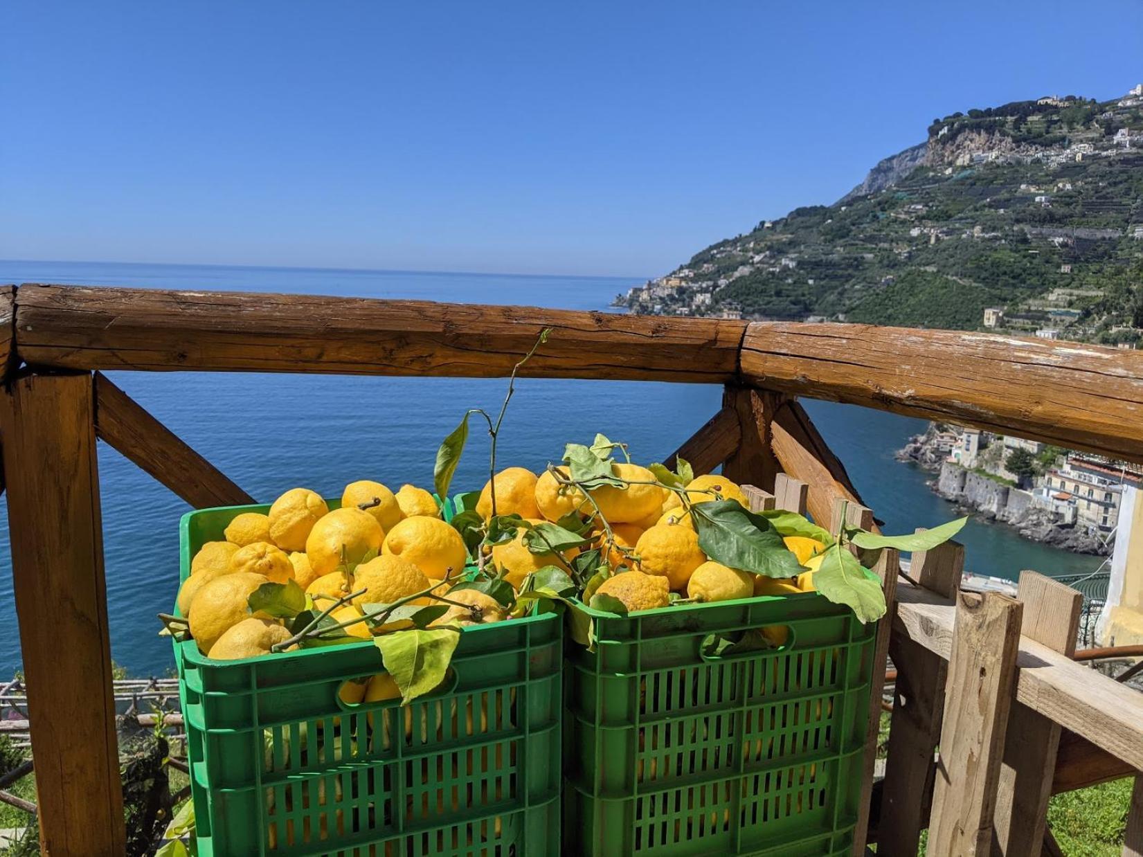 Casa Vacanze Freeholiday House Minori Dış mekan fotoğraf