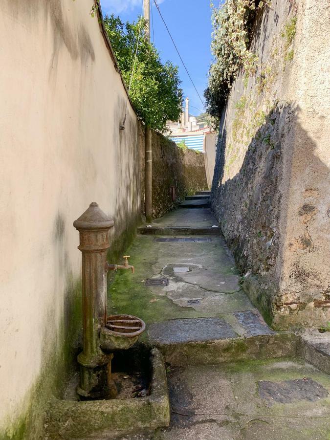 Casa Vacanze Freeholiday House Minori Dış mekan fotoğraf